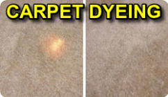 Carpet Dyeing & Color Correction Specialists