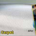 Water-Damage-Carpet-Malibu